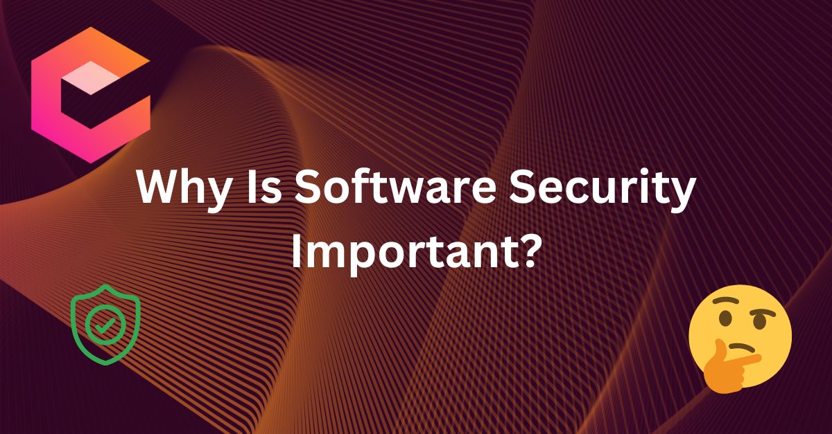 Why Is Software Security Important?